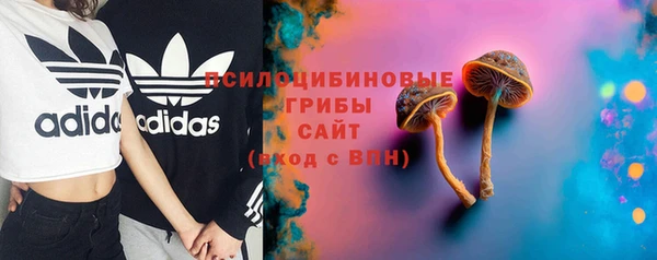 apvp Дмитров