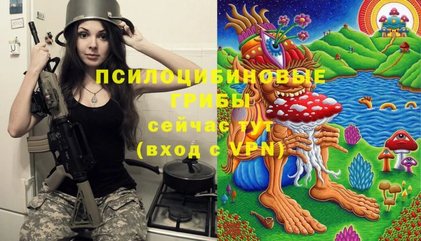мет Дмитриев