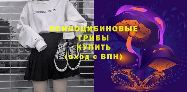 apvp Дмитров