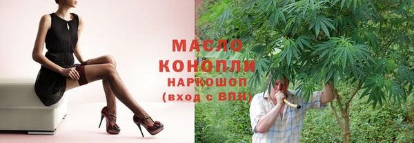 мет Дмитриев