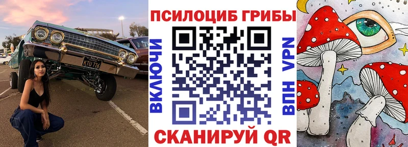Галлюциногенные грибы GOLDEN TEACHER  KRAKEN вход  маркетплейс какой сайт  Салаир 