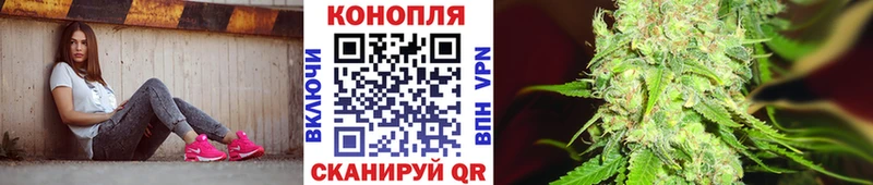 Каннабис гибрид Салаир